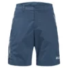 Jack Wolfskin Overland Shorts - Vandreshort Herrer